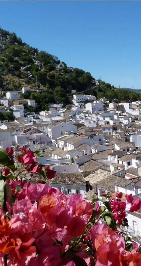 Apartment Estudio Con Encanto Ubrique Wifi Spain